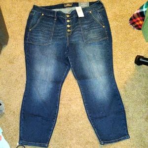 Plus size mid rise skinny